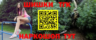 крисы Моздок