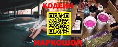 крисы Моздок