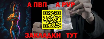 крисы Моздок