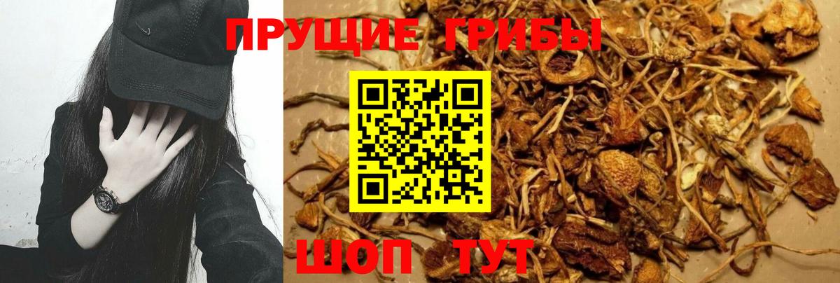 Псилоцибиновые грибы Cubensis  Галлюциногенные грибы ЛСД  сколько стоит  Вход с VPN  Удомля 